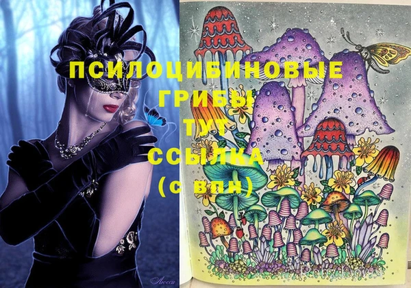прущие крисы Щигры