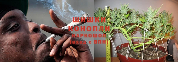 spice Гусь-Хрустальный